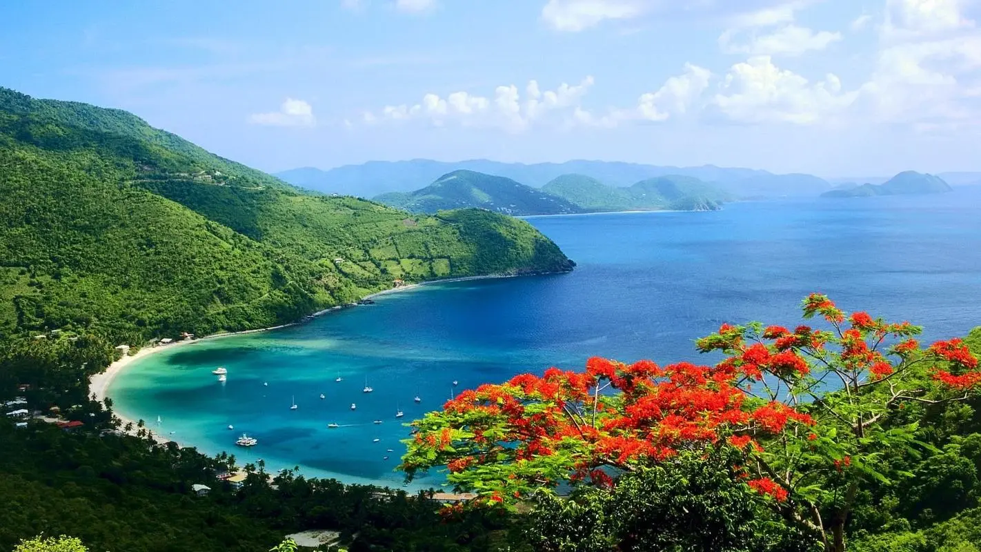 高性能稳定性独特